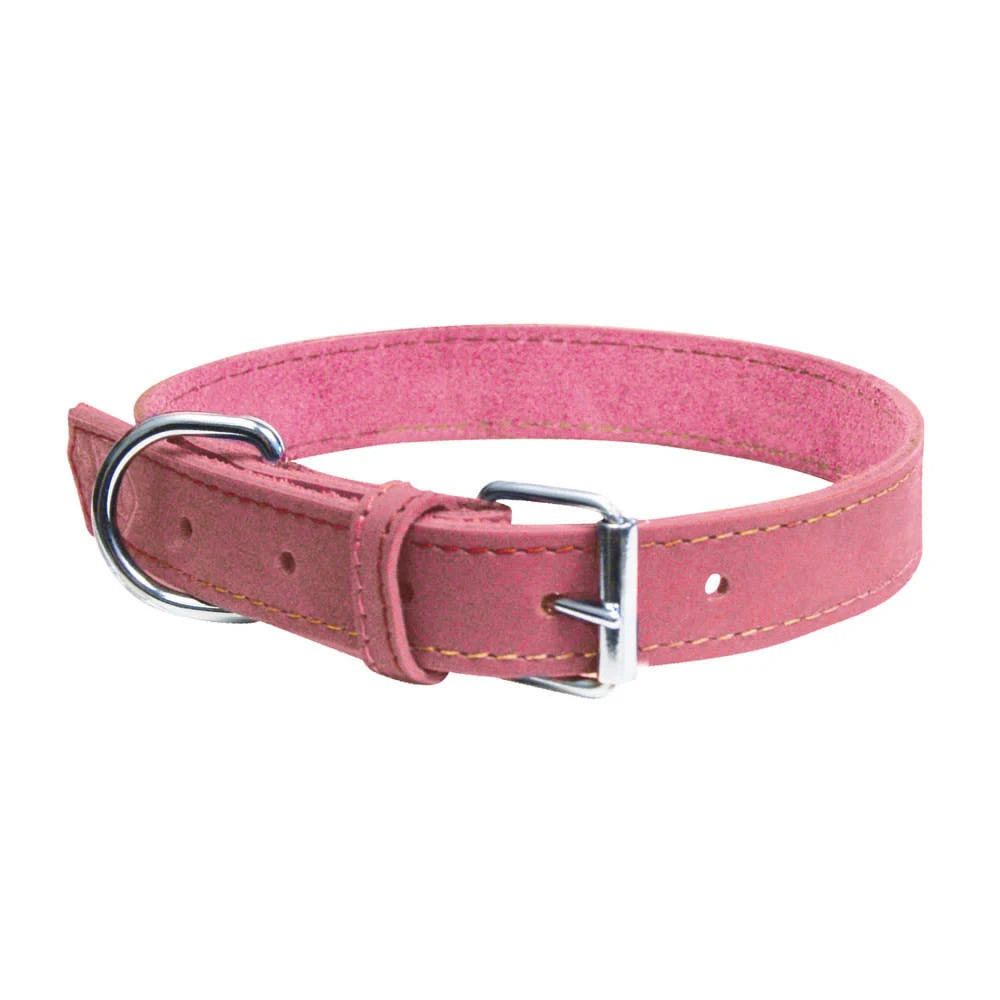 Gloria Oasis Pink Dog Collar (60 x 3 cm)
