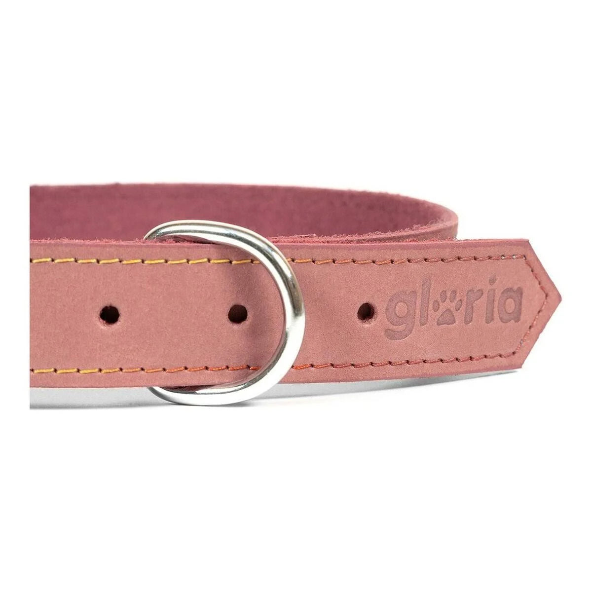Gloria Oasis Pink Dog Collar (60 x 3 cm)