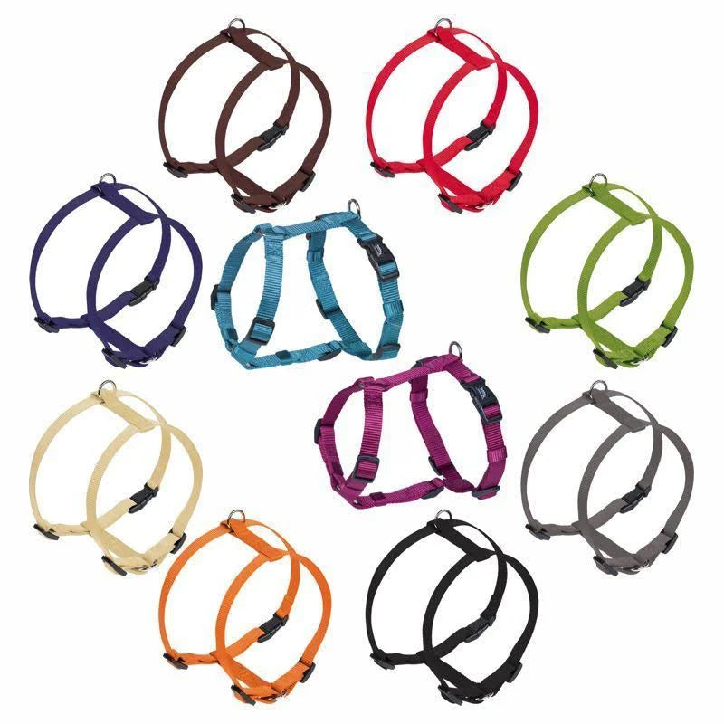 Nobby Classic Harness Orange 25mm x 70-90cm