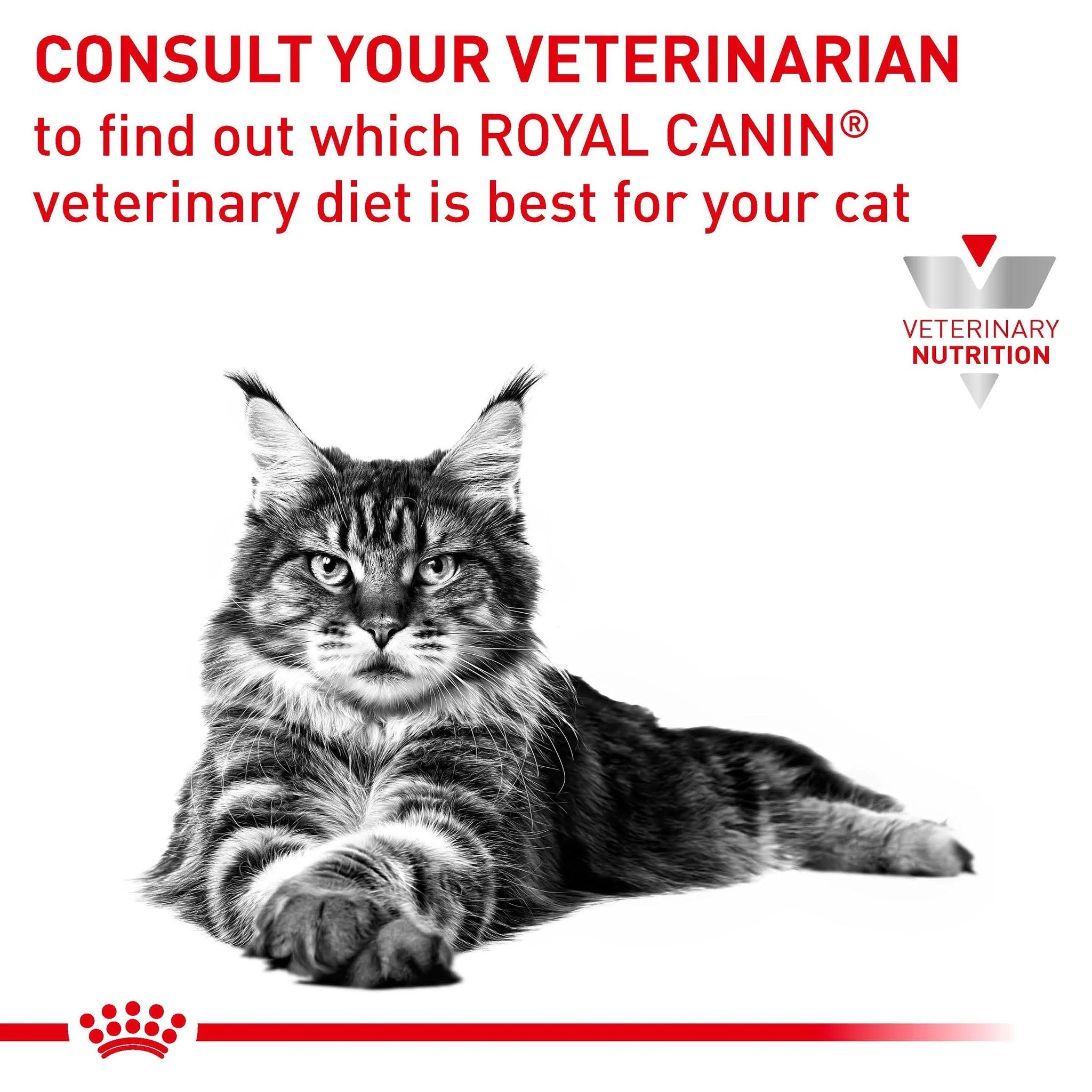 Royal Canin Veterinary Cat – Renal with Fish - 12 x 85g