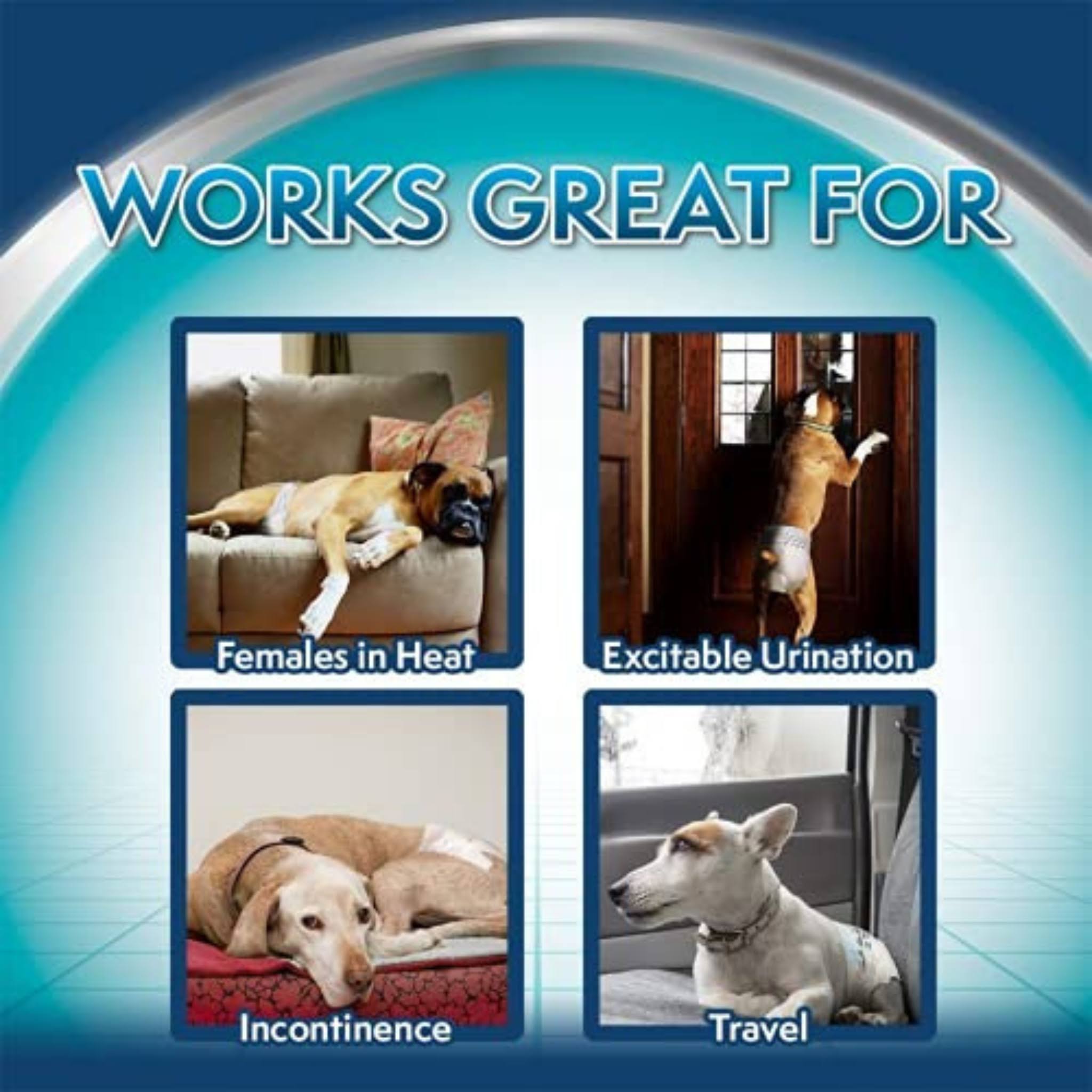 Simple Solution Disposable Diapers -Small - 12 Pack