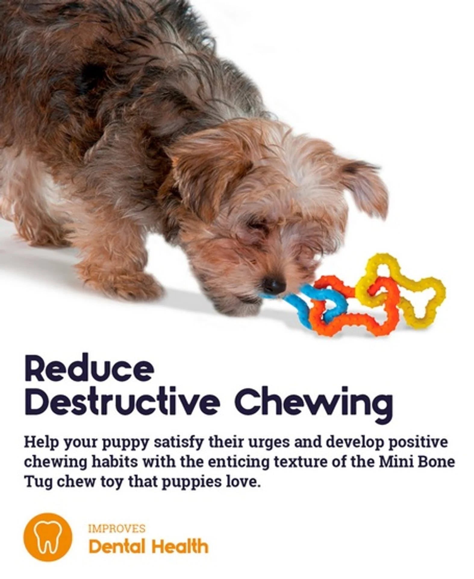 Petstages - Mini Bone Tug Chew Toy