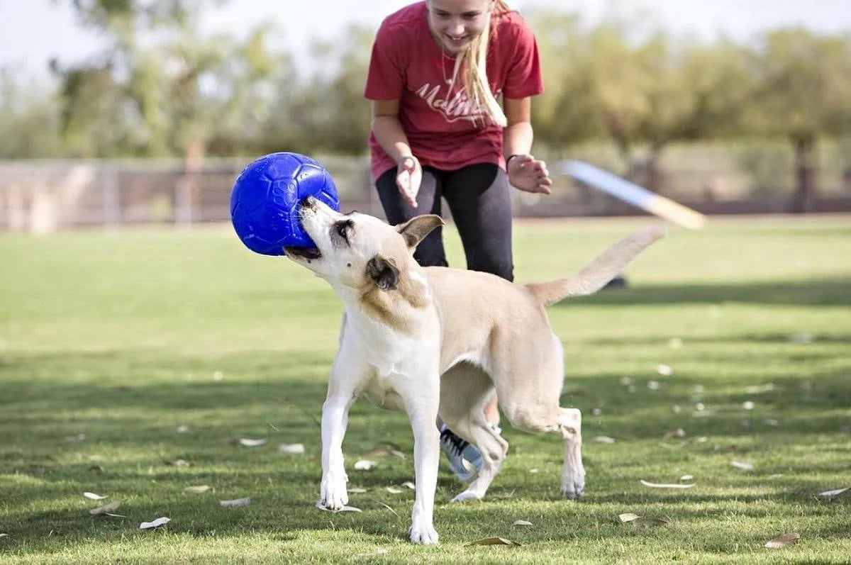 Jolly Pets - Soccer Ball 15cm Pink - (JOLL036C)