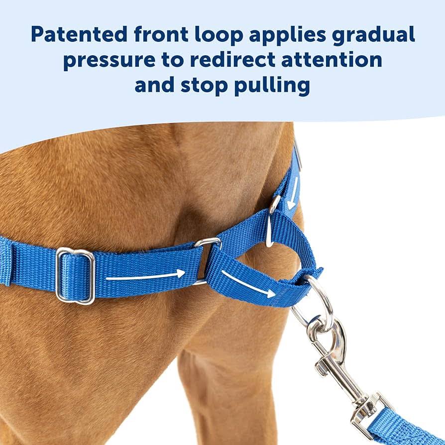 PetSafe Easy Walk Dog Harness.