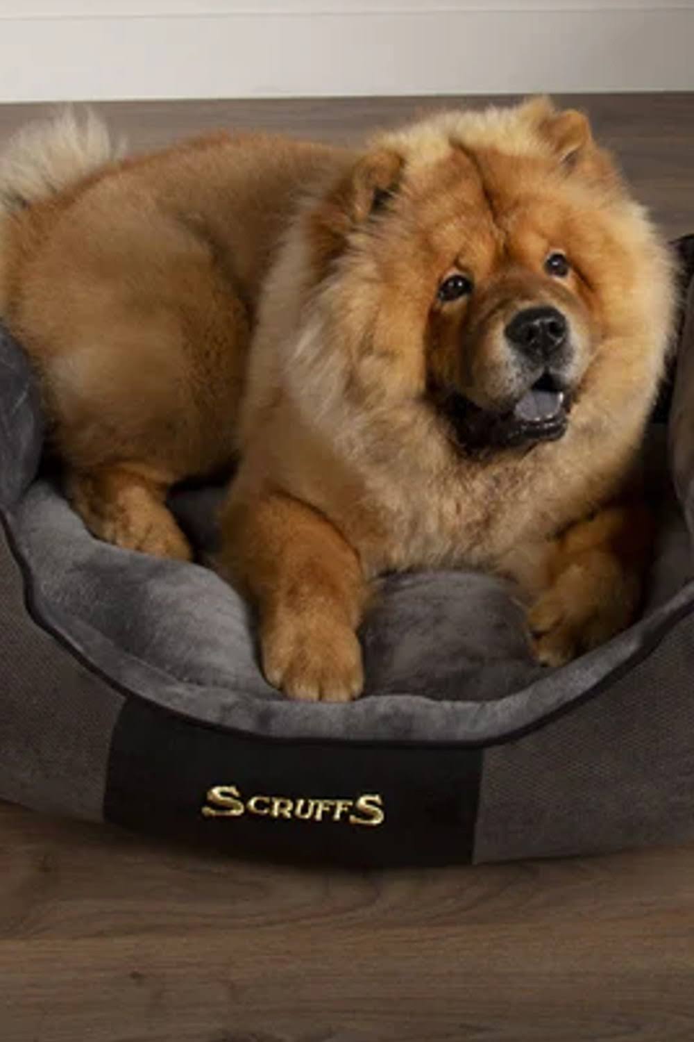 Scruffs - Chester Box Bed Graphite / Large