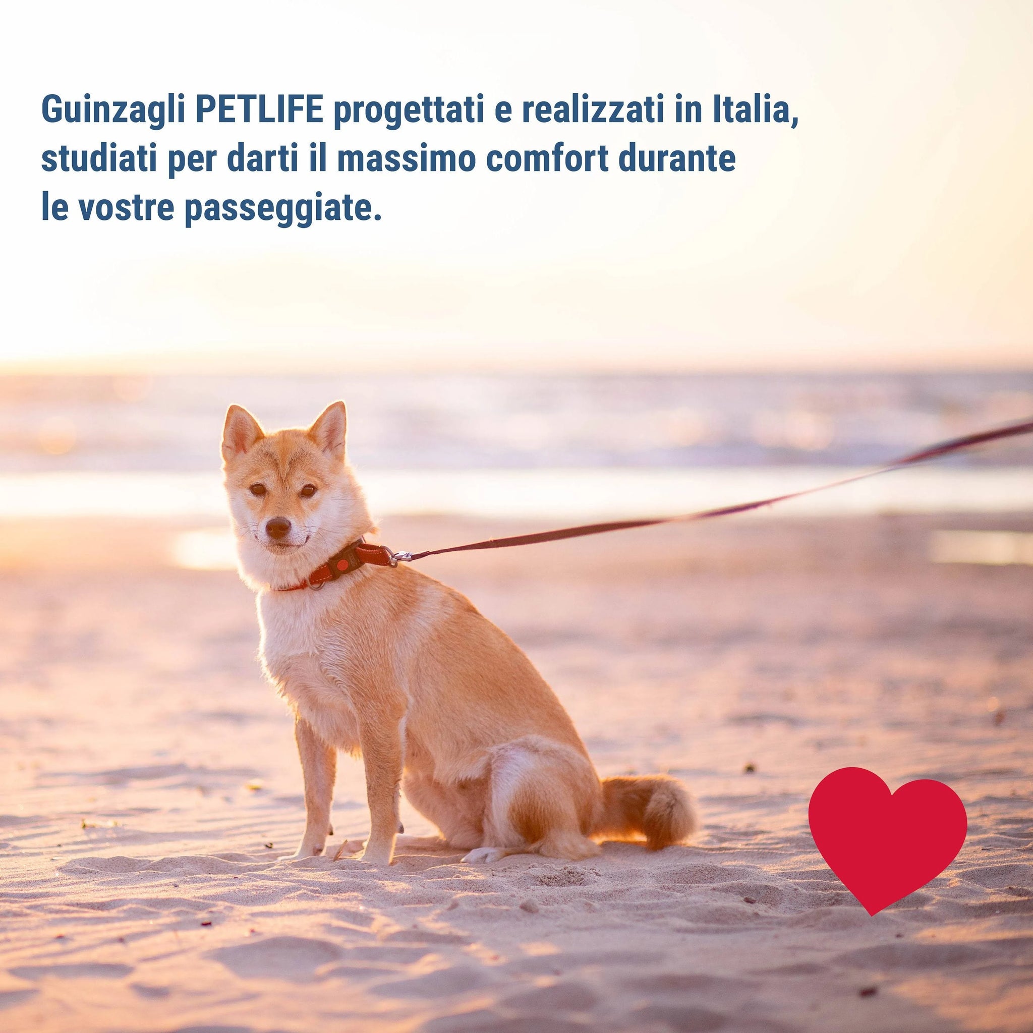 PetLife 2 in 1 Heavy Duty Non Slip Double Dog Leash 2 Lengths Lightweight ...