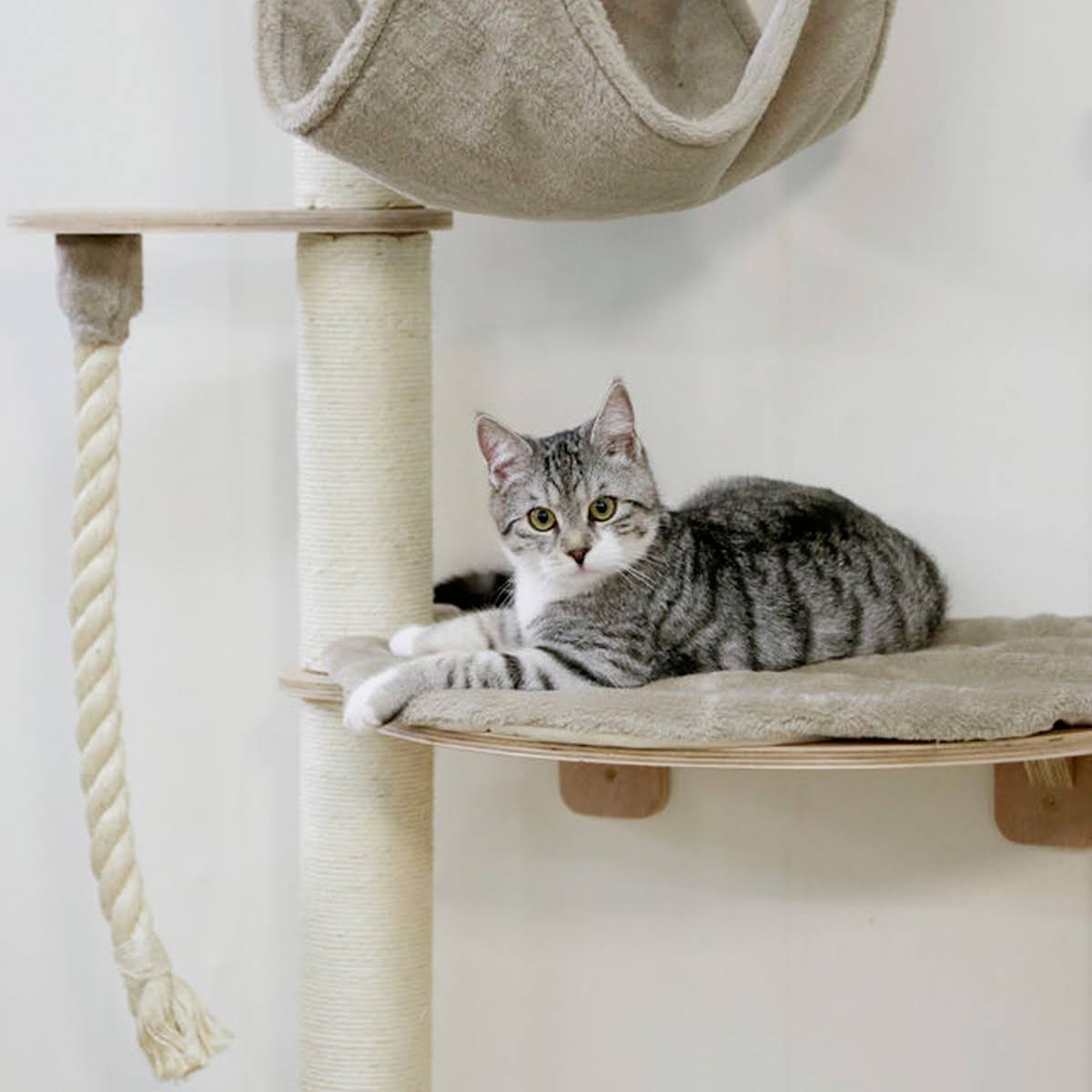 Kerbl Scratching Post Dolomit Grappa Pro 138 cm