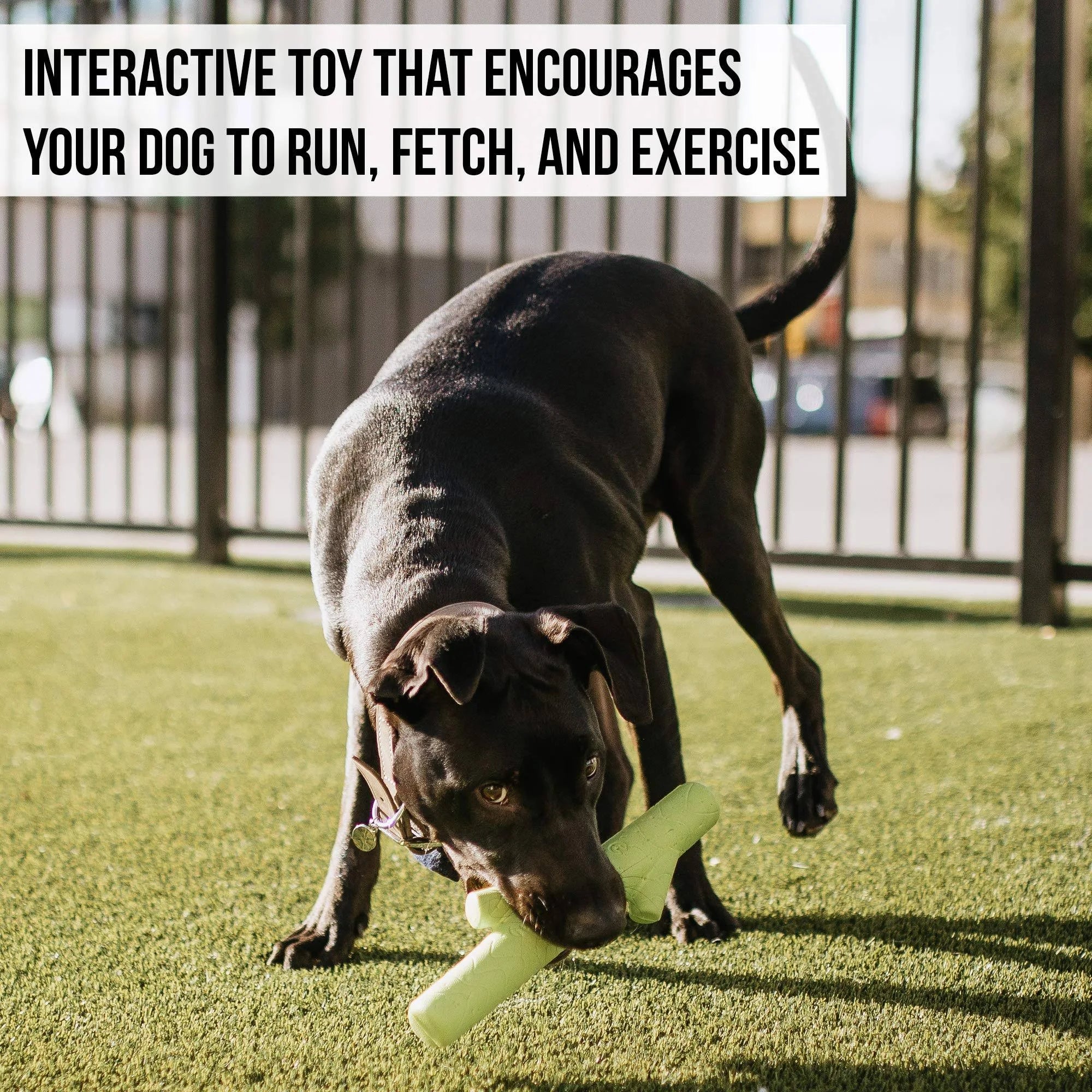 Hyper Pet Eva Chewz Stick