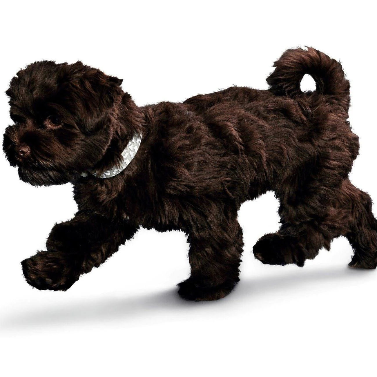 Hunter Convenience Reflect Glow Collar - 40/S