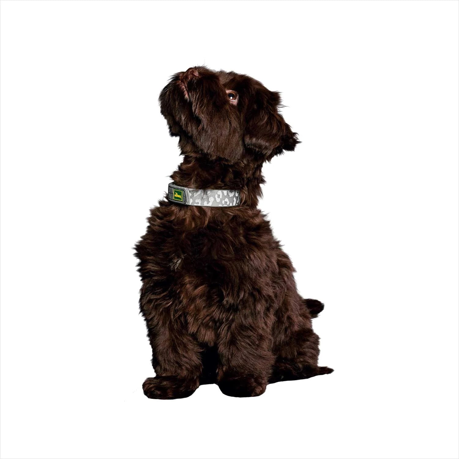 Hunter Convenience Reflect Glow Collar - 40/S