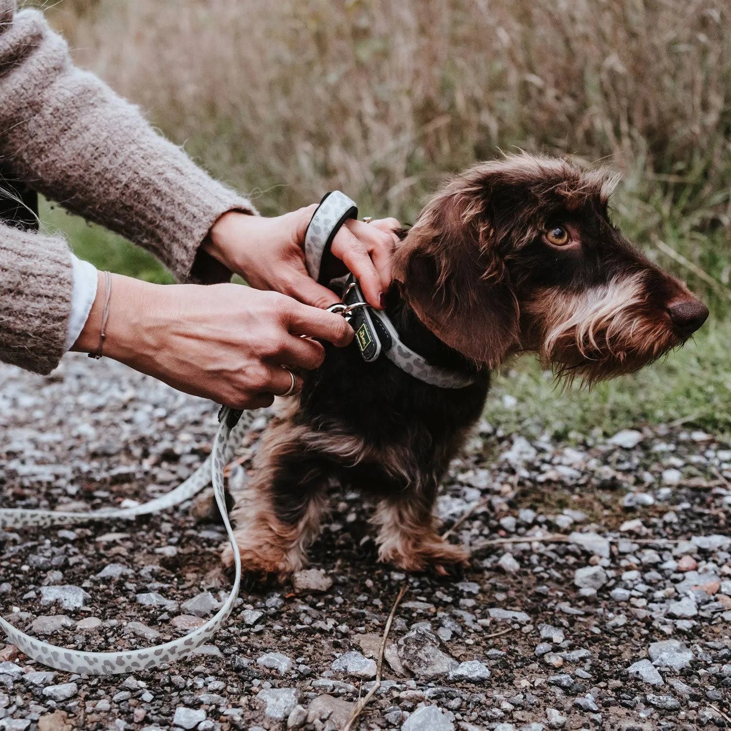 Hunter Convenience Reflect Glow Collar - 40/S