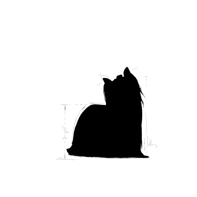 Royal Canin Adult Yorkshire Terrier Dry Dog Food 7.5kg