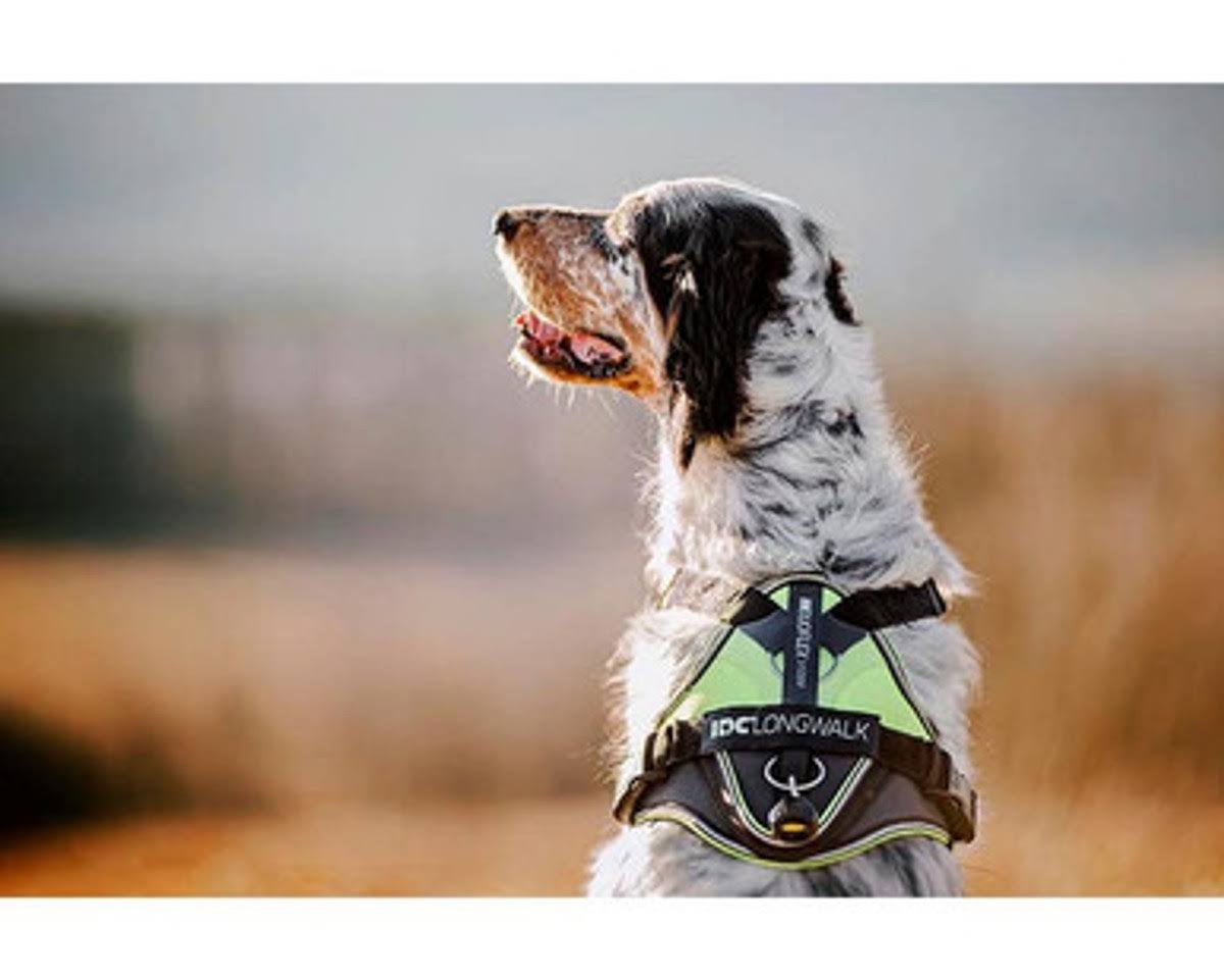IDC Longwalk Harness Black M Julius K9