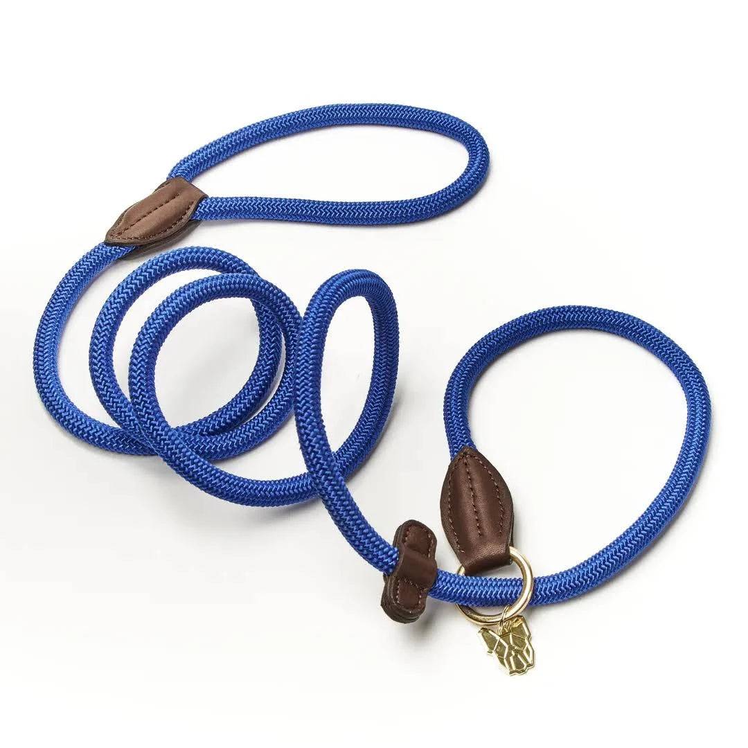 Digby & Fox Fine Rope Slip Lead Red