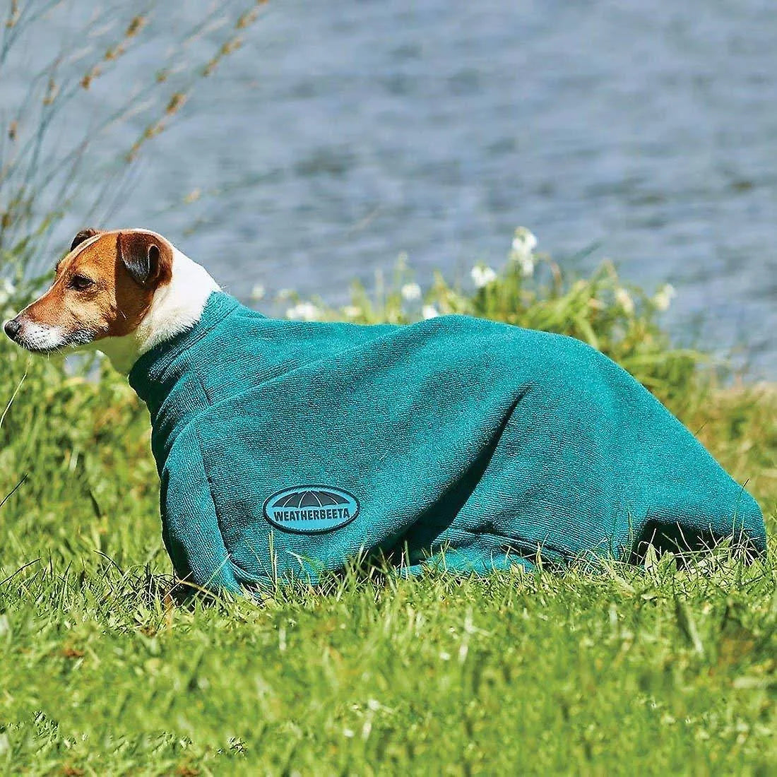 Weatherbeeta Dry-Dog Bag XS / Navy