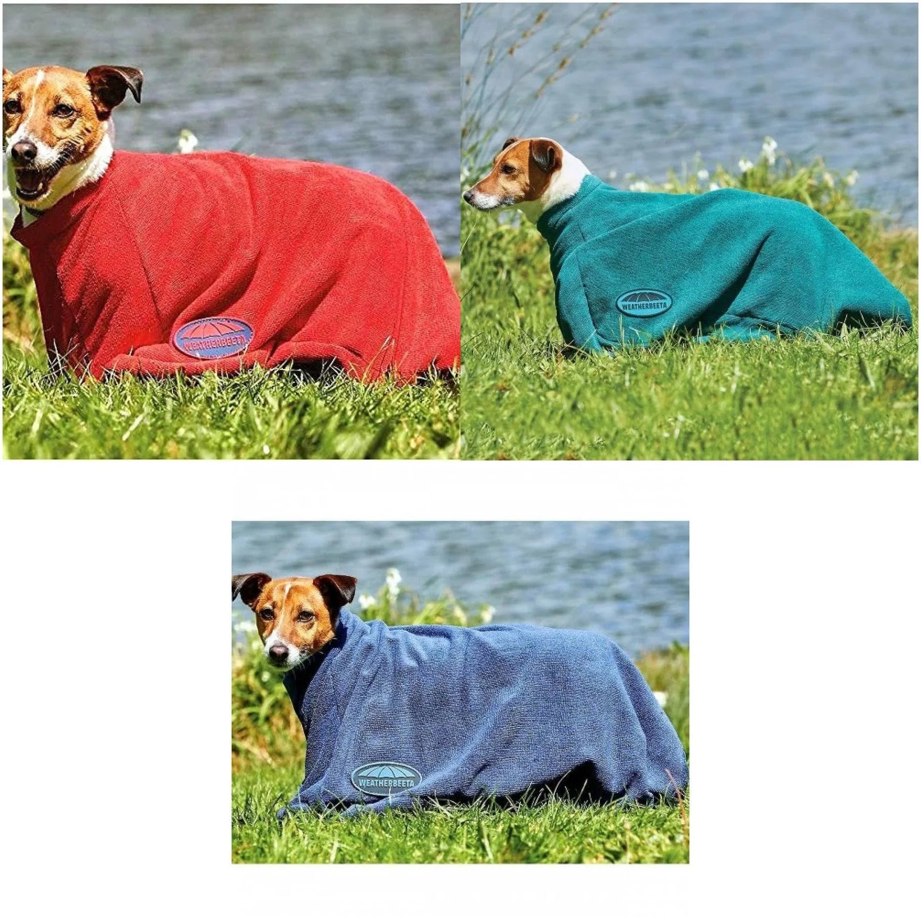 Weatherbeeta Dry-Dog Bag XS / Navy