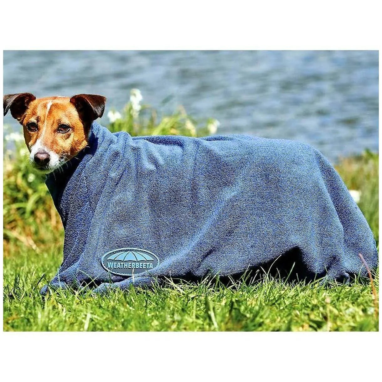 Weatherbeeta Dry-Dog Bag XS / Navy