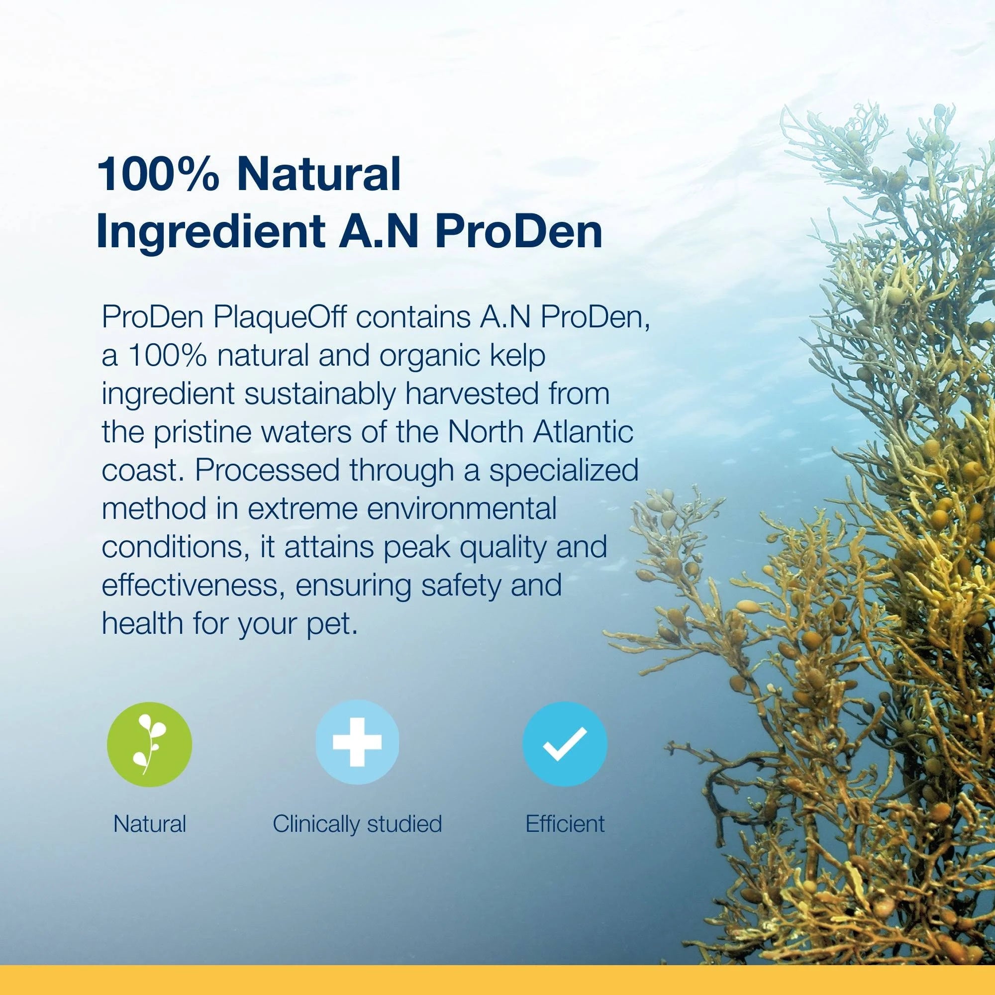 ProDen PlaqueOff Powder - 60g