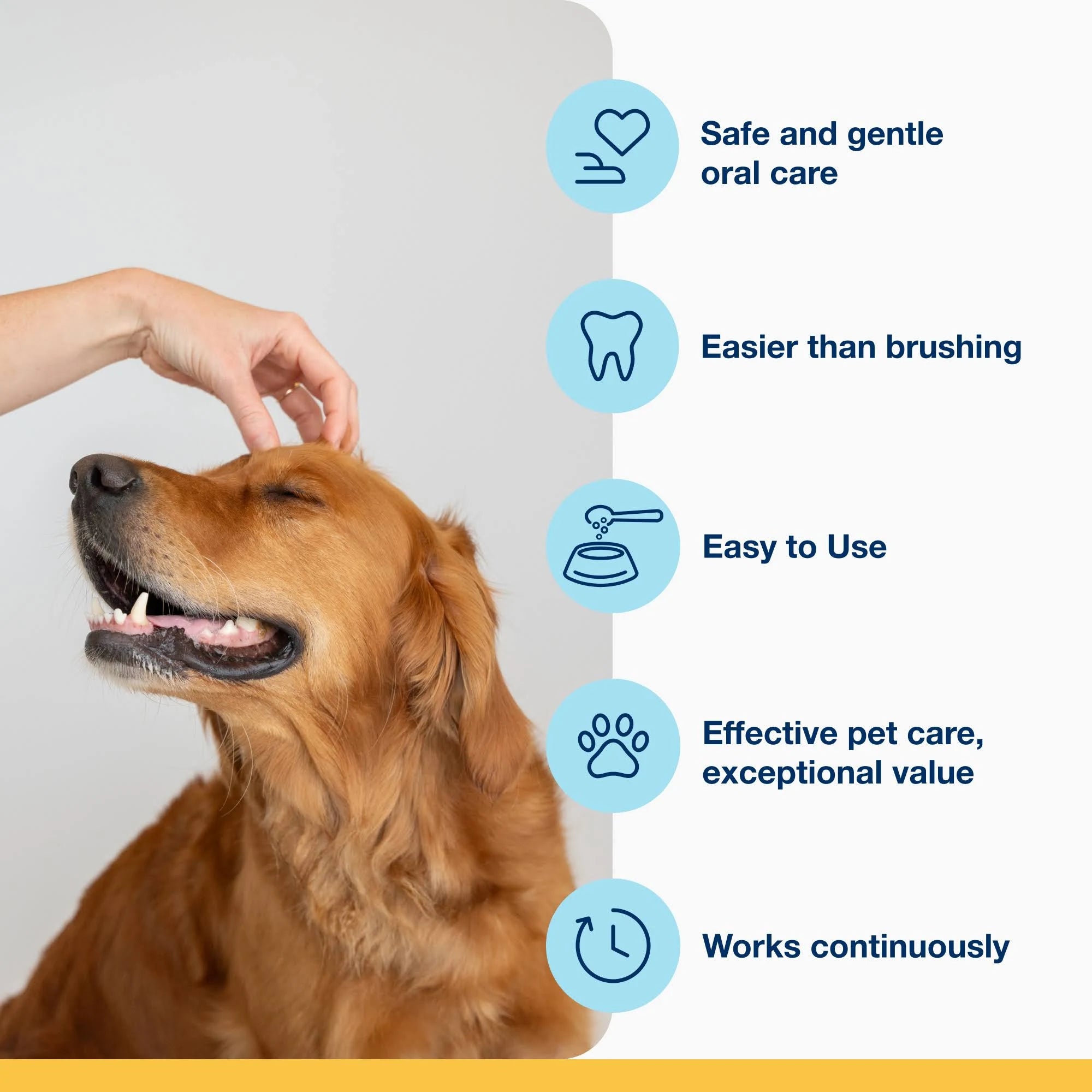 ProDen PlaqueOff Powder - 60g