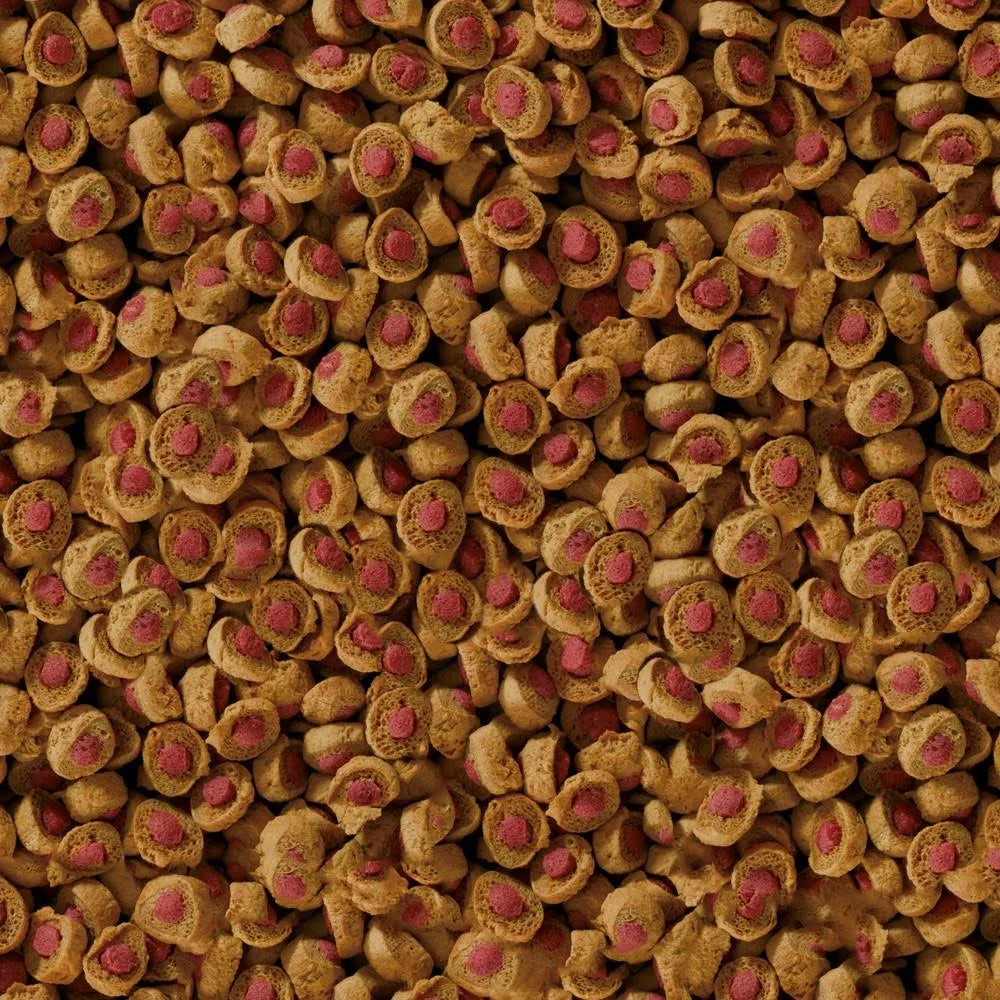 Sera Reptil Professional Carnivor 3800 ml