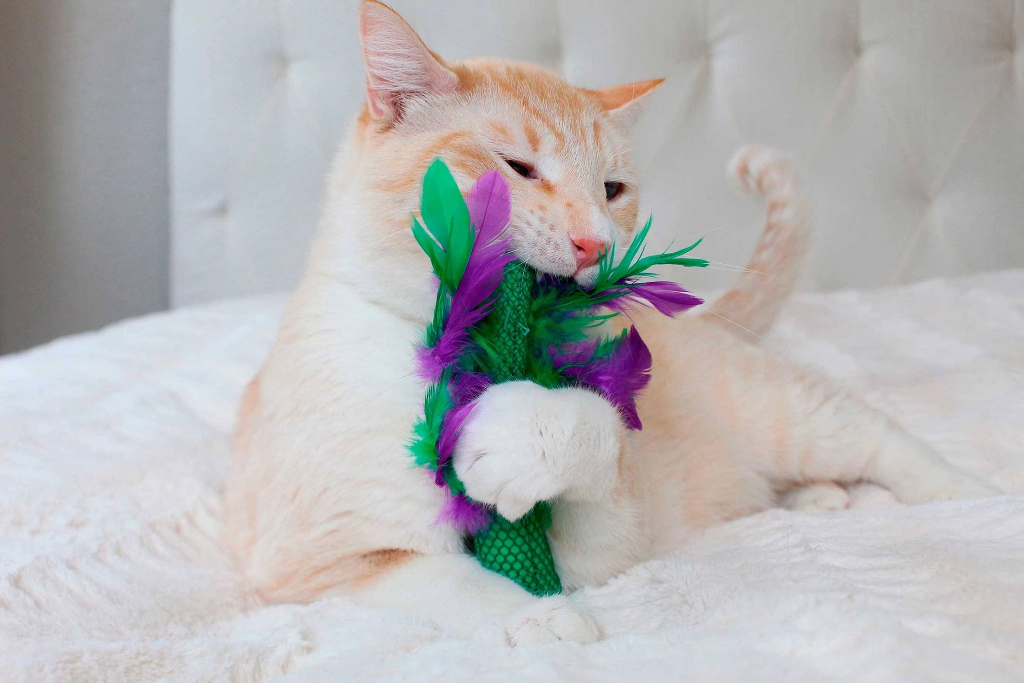 Petstages Krazy Kale Cat Toy