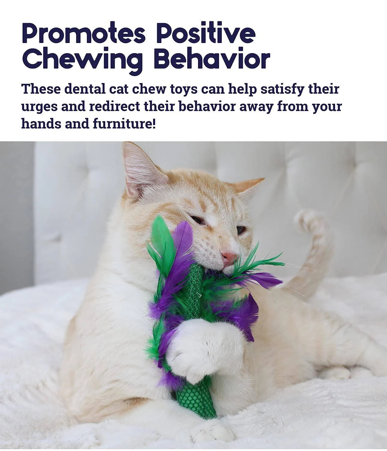 Petstages Krazy Kale Cat Toy