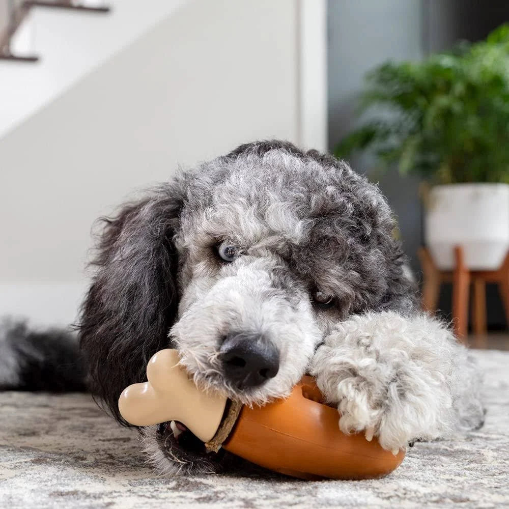 PetSafe Busy Buddy Chicken Dog Toy - Small / Medium