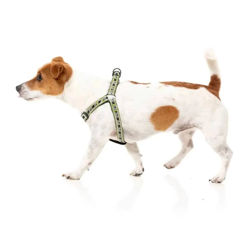 FuzzYard Active Strap Dog Harness Green XS