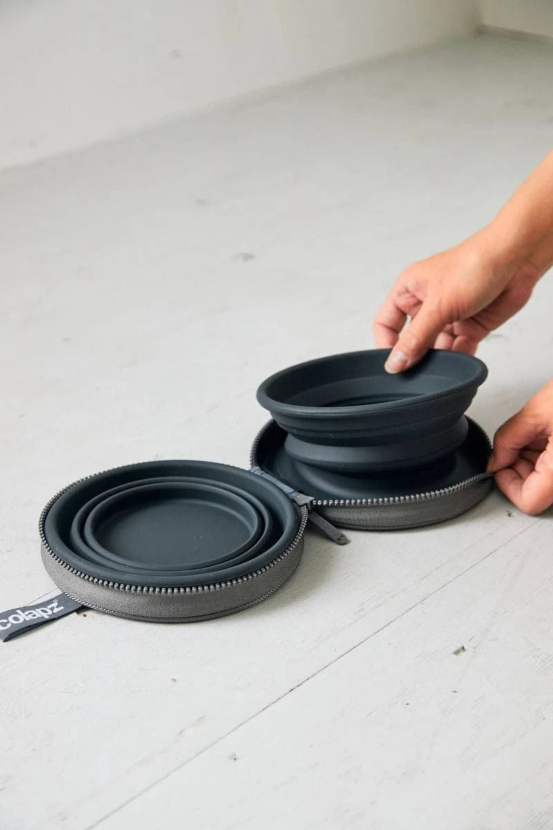 Two Collapsible Dog Bowls - Dog Water Bowl - Foldable Bowl with Travel Case - Grey