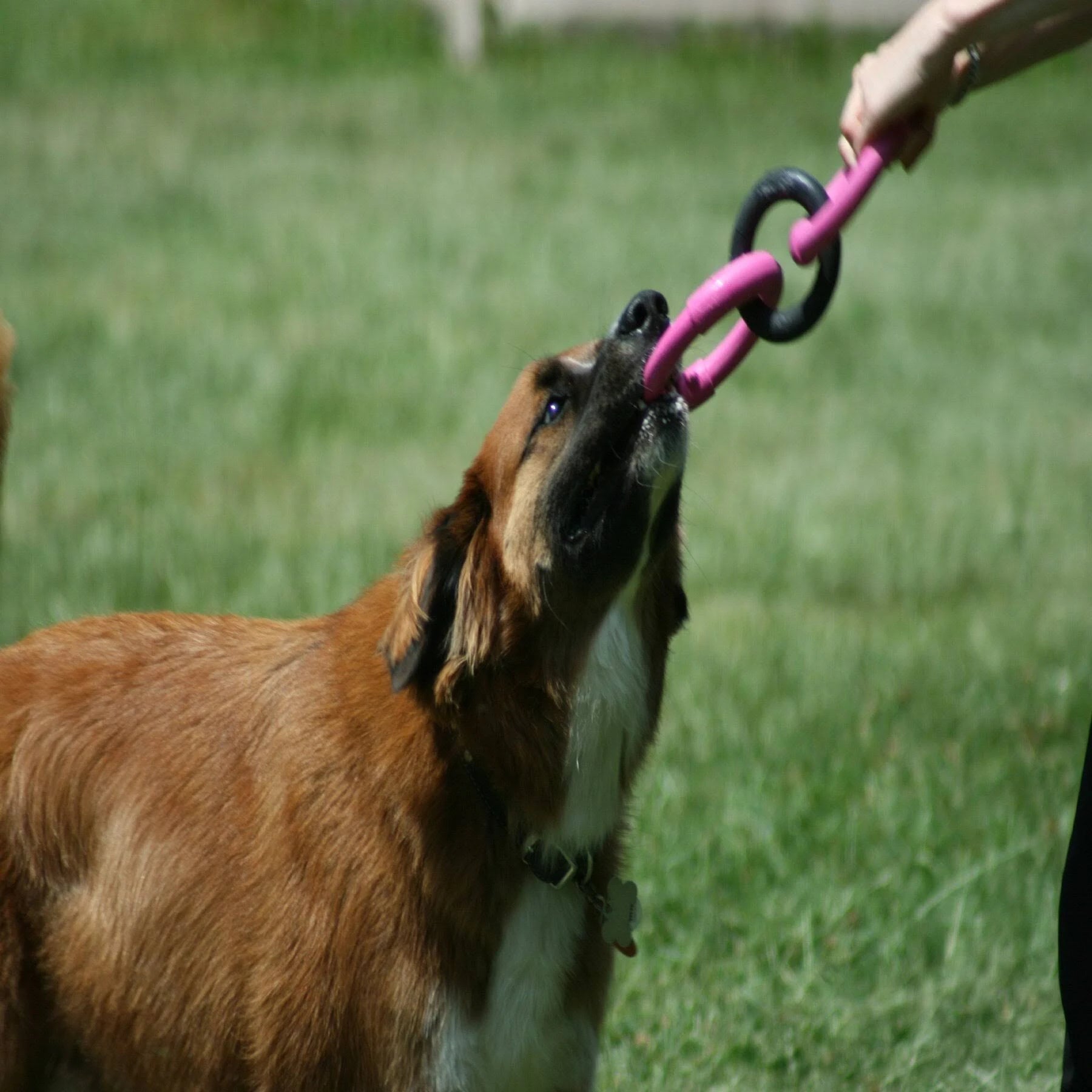 JW Invincible Chains Large Triple