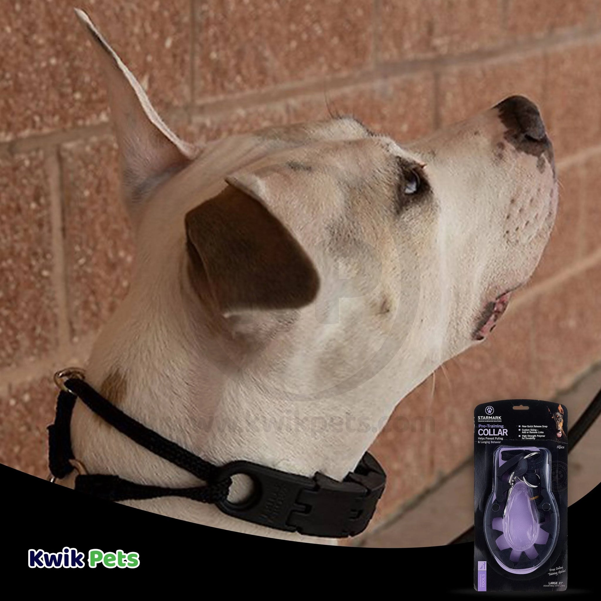 Starmark Dog Collar Black L