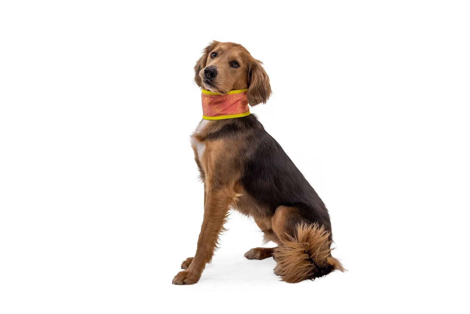 Ruffwear Swamp Cooler Neck Gaiter - Salmon Pink/ Blue Mist - M