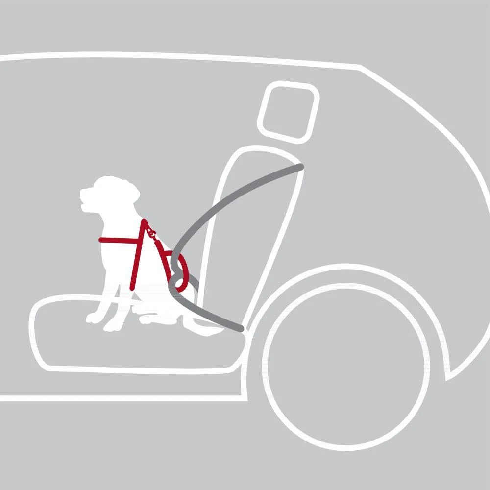 Trixie Car Harness Dog Comfort