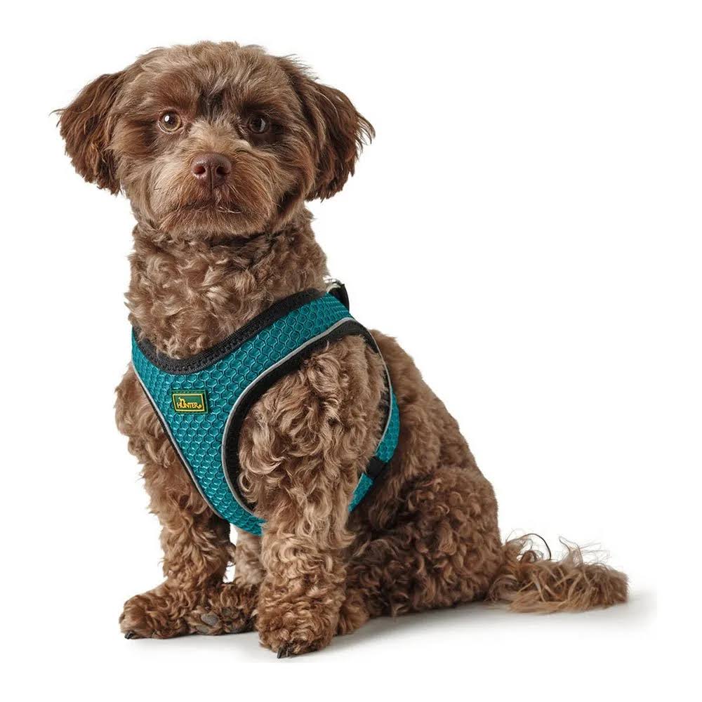 Hunter Hilo-Comfort Turquoise Dog Harness - XS Size (35-37 cm)