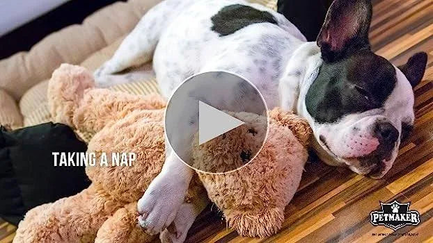 Petmaker Stainless Steel Raised Food and Water Bowls with Decorative 6.5?