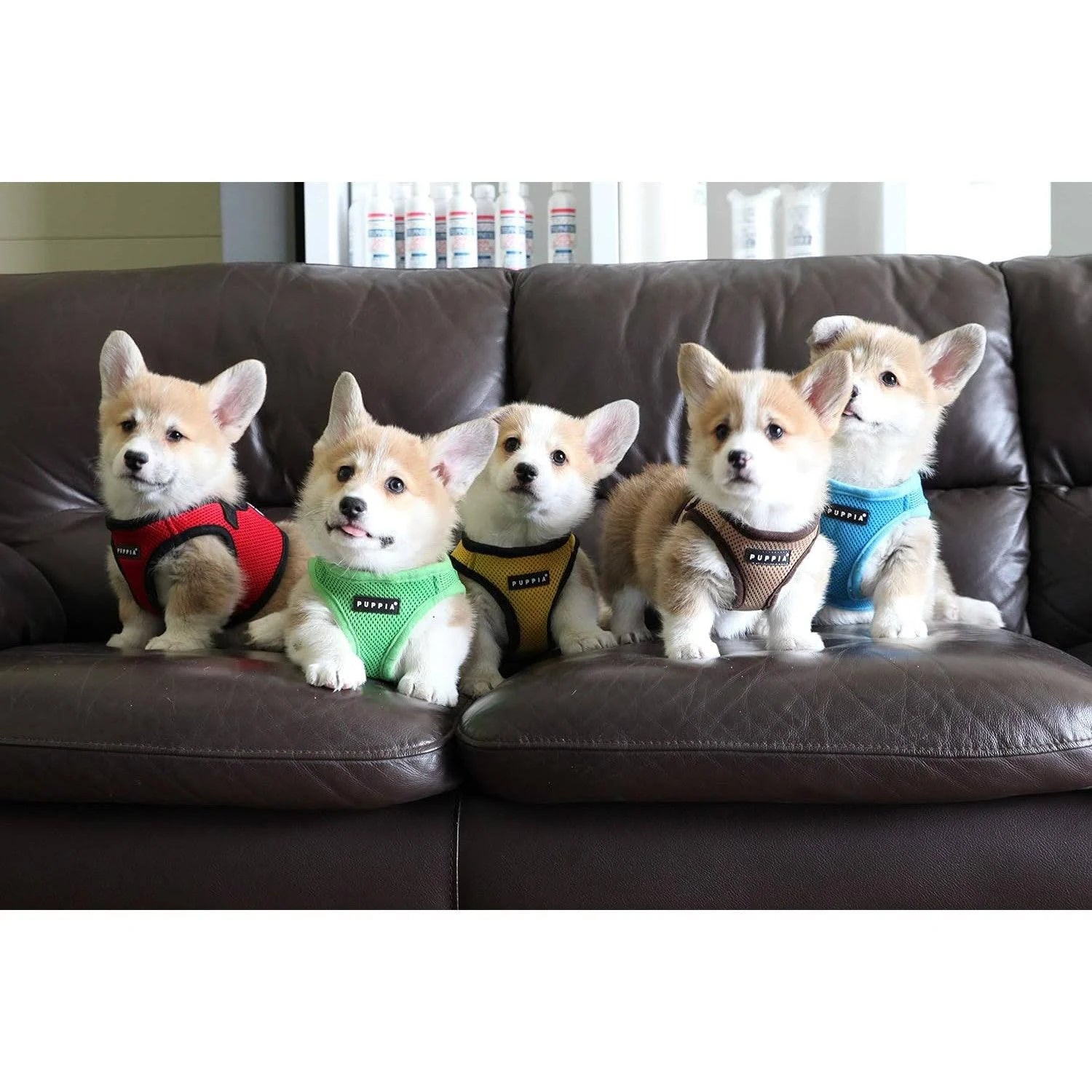 Puppia International Harness Soft B Vest, Medium, Yellow