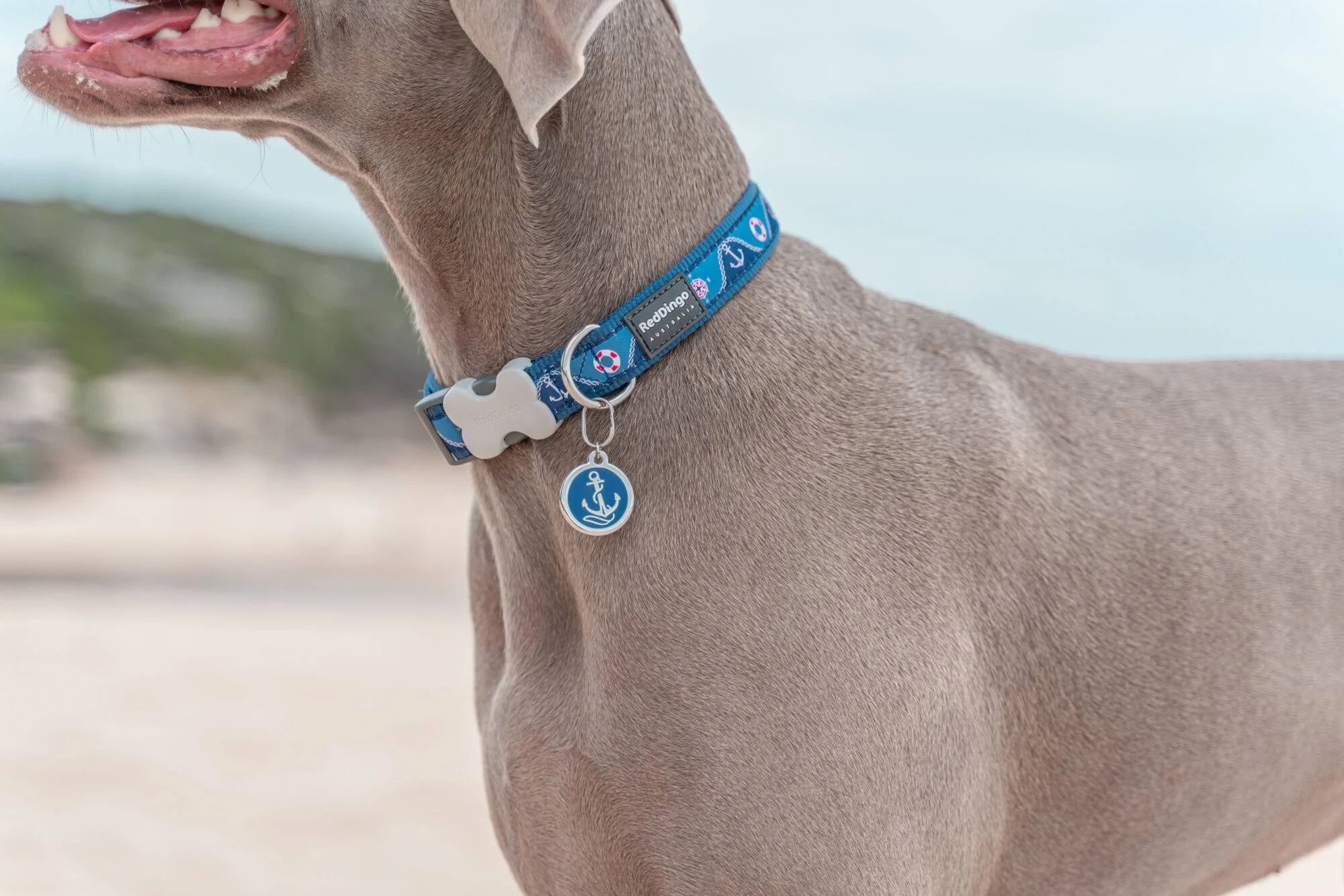 Red Dingo Enamel Dog & Cat Id Tags Tribal Sun - Medium