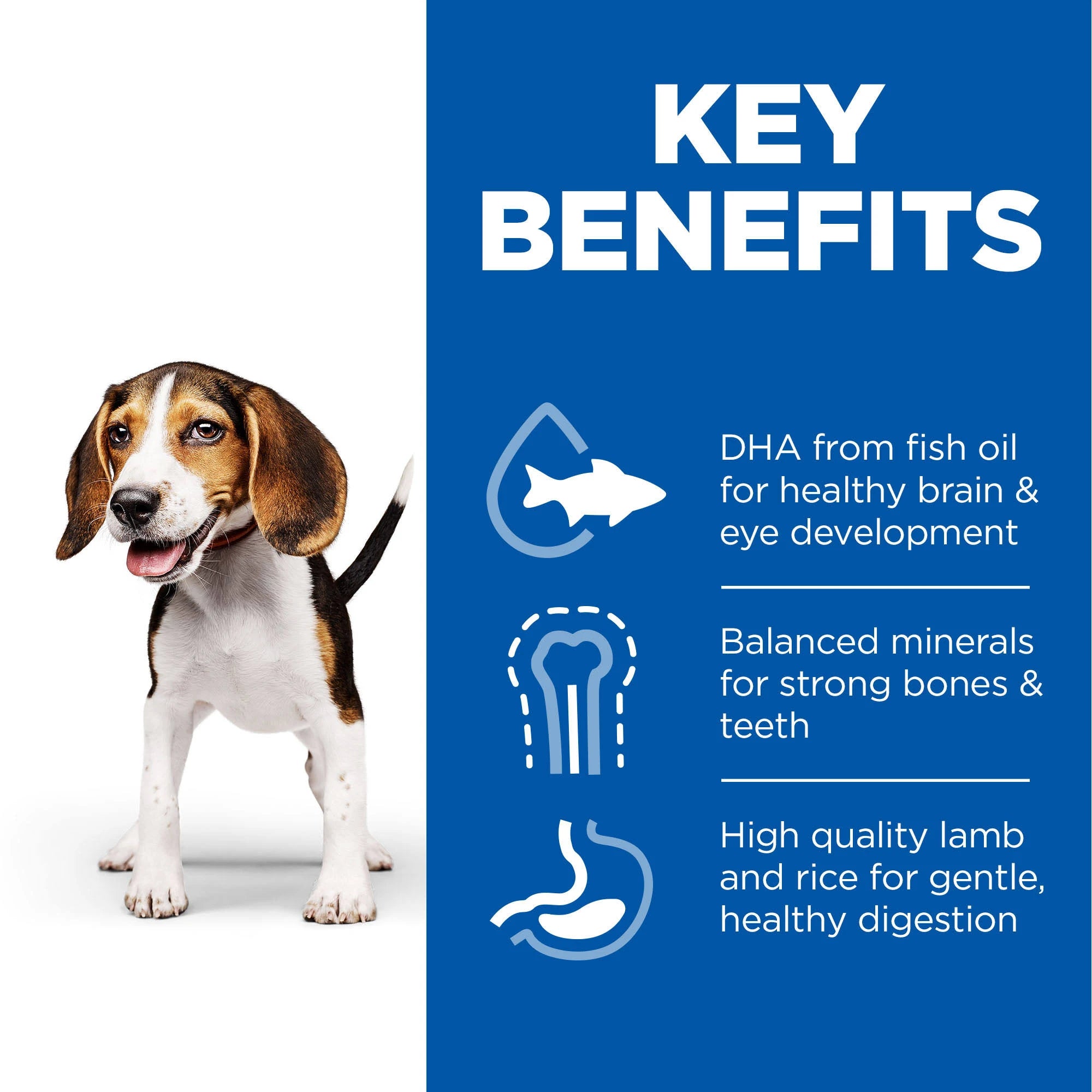 Hill's Science Plan Puppy Medium Lamb & Rice Dry Dog Food - 18kg