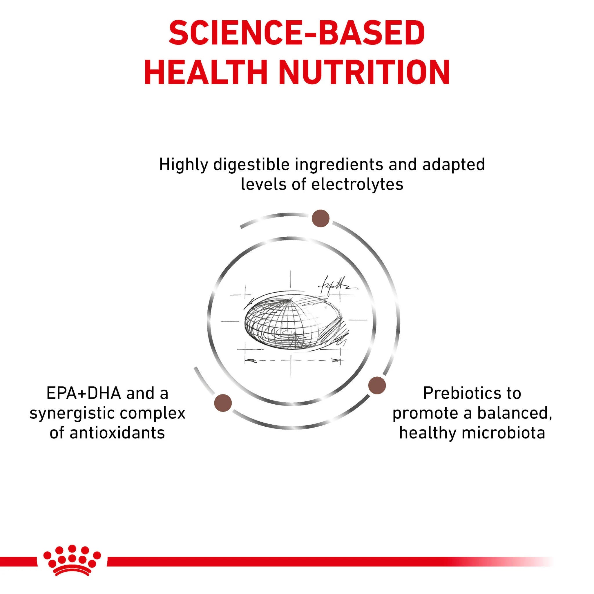 Royal Canin Gastrointestinal Moderate Calorie Dry Dog Food, 15kg