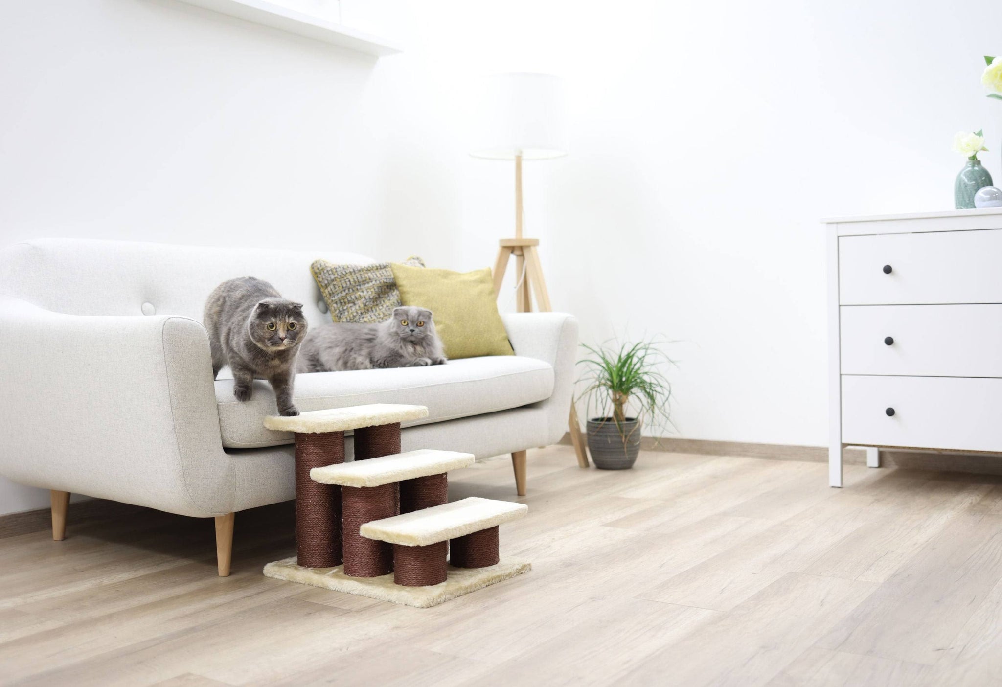 Kerbl Pet Steps Easy Climb 45 x 35 x 34 cm - Brown