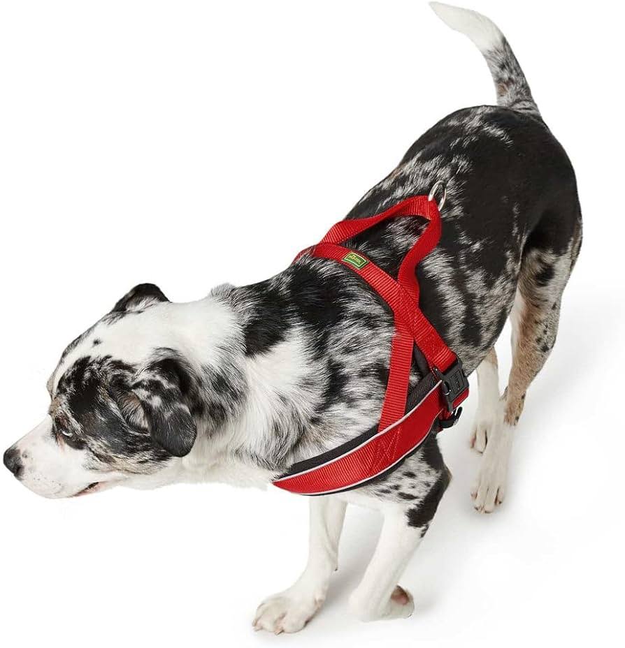 Hunter Norwegian Harness Racing Brown/Fleece Cognac Large