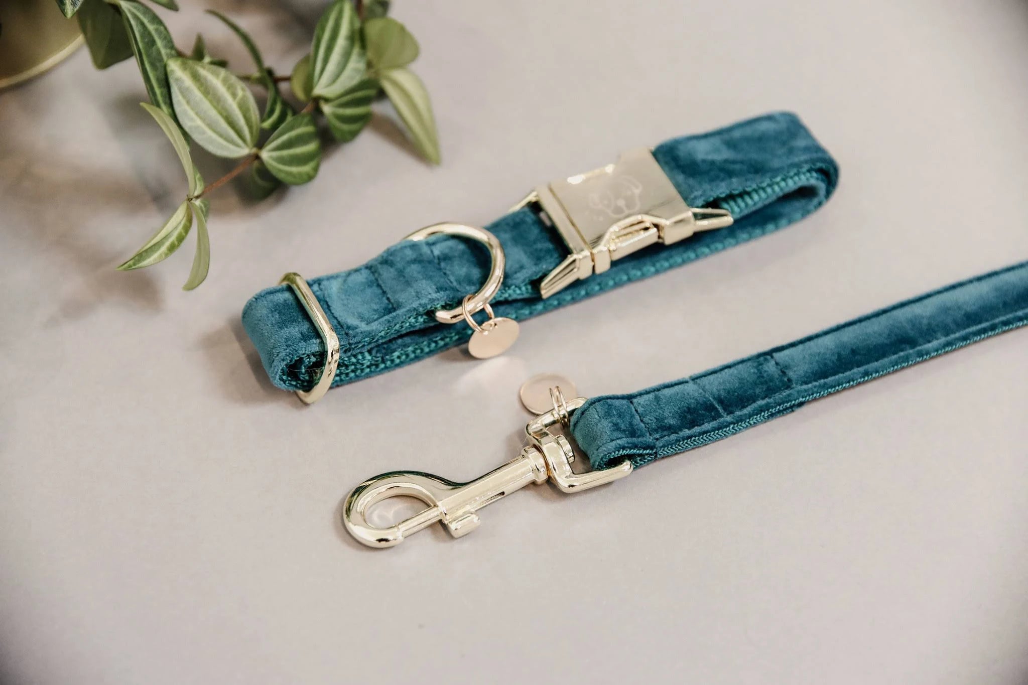 Kentucky Dogwear Velvet Dog Collars