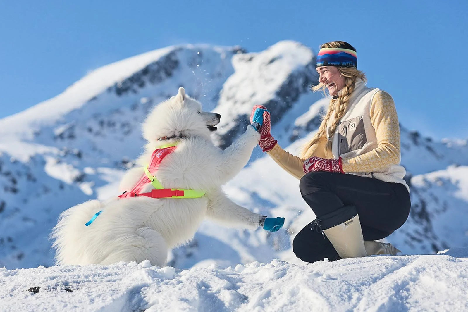 Non-Stop Dogwear - Freemotion Harness 5.0 - Limited Edition