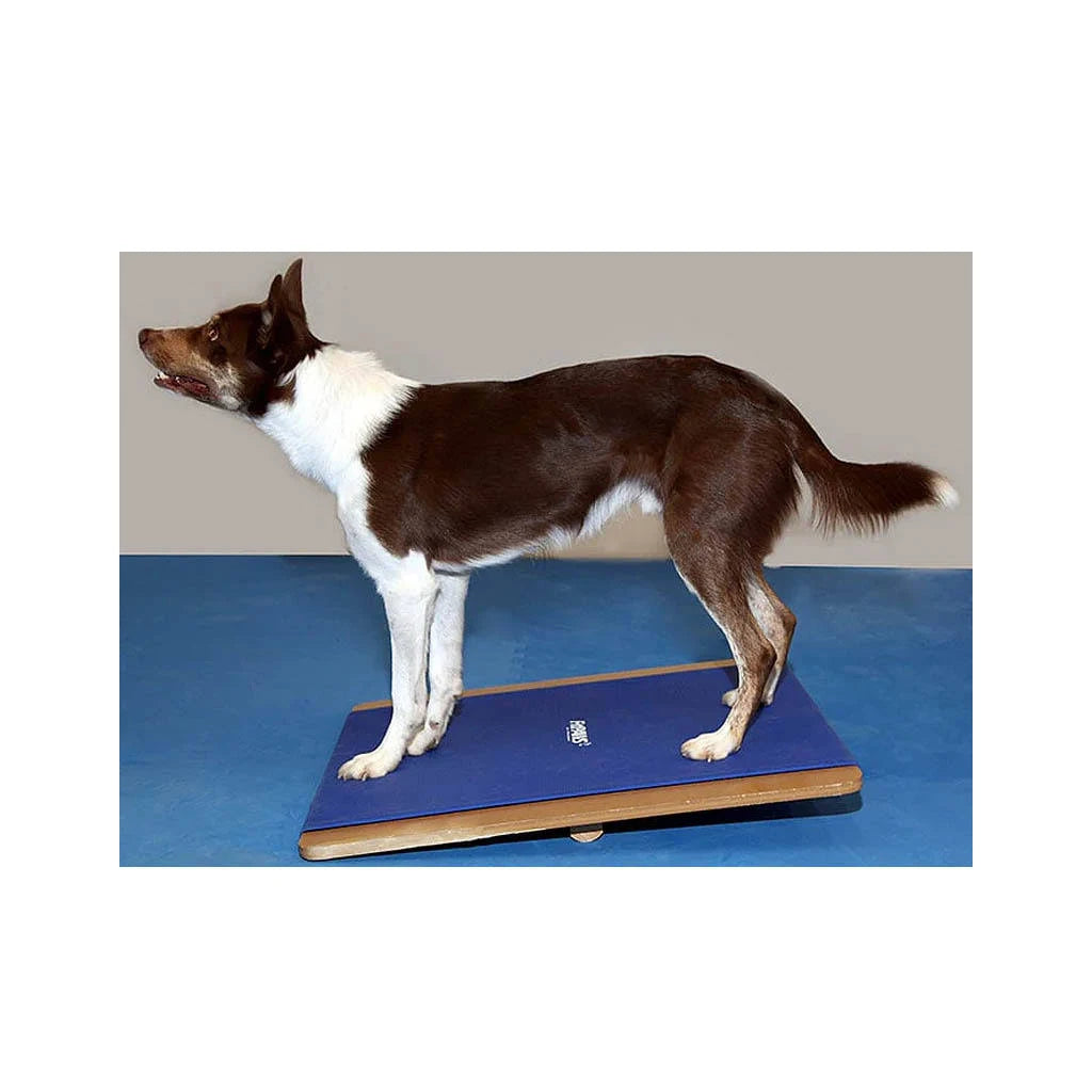 FitPAWS Giant Rocker Board 75x75 cm Blue