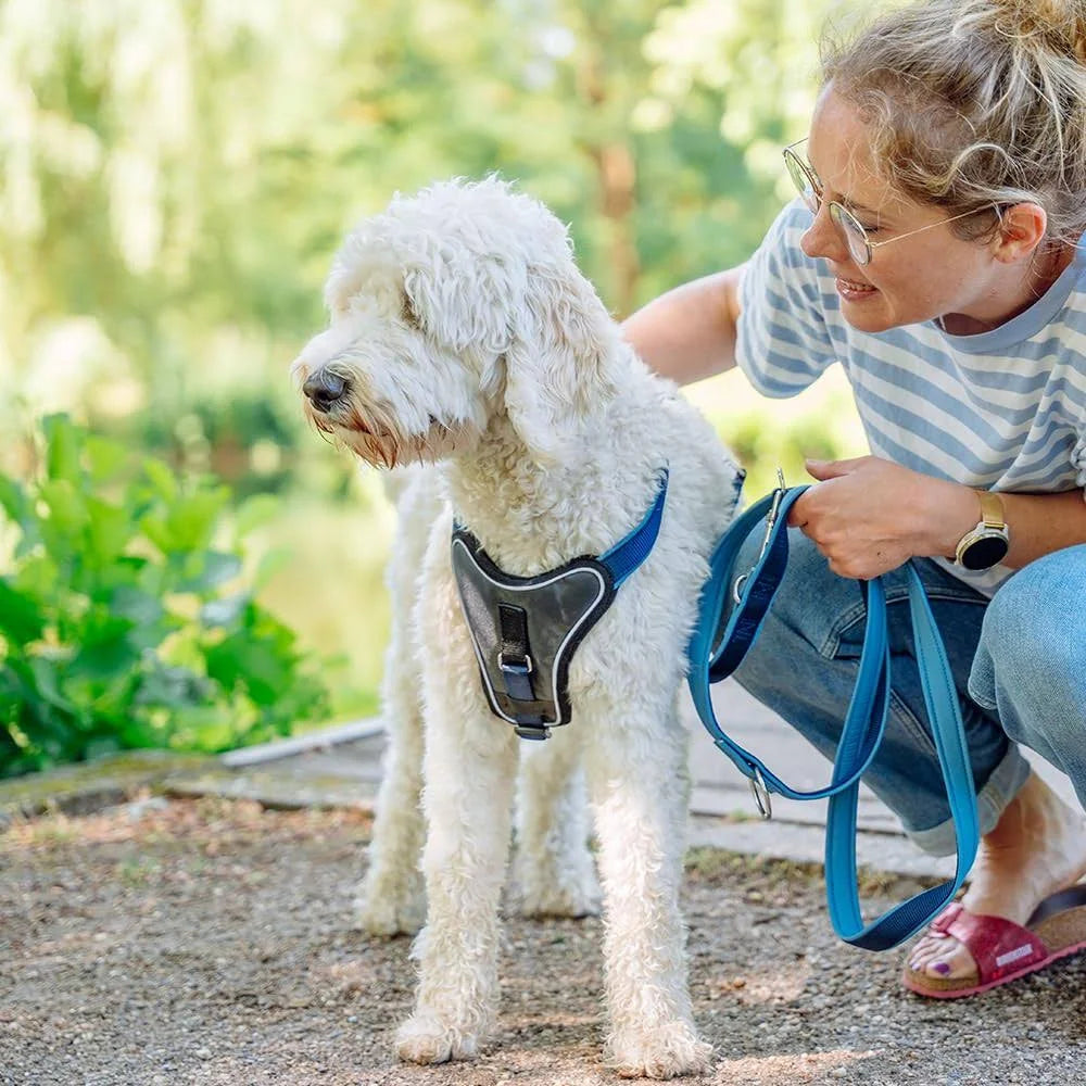 Nobby Classic Preno 80732 06 Comfort Harness – Blue