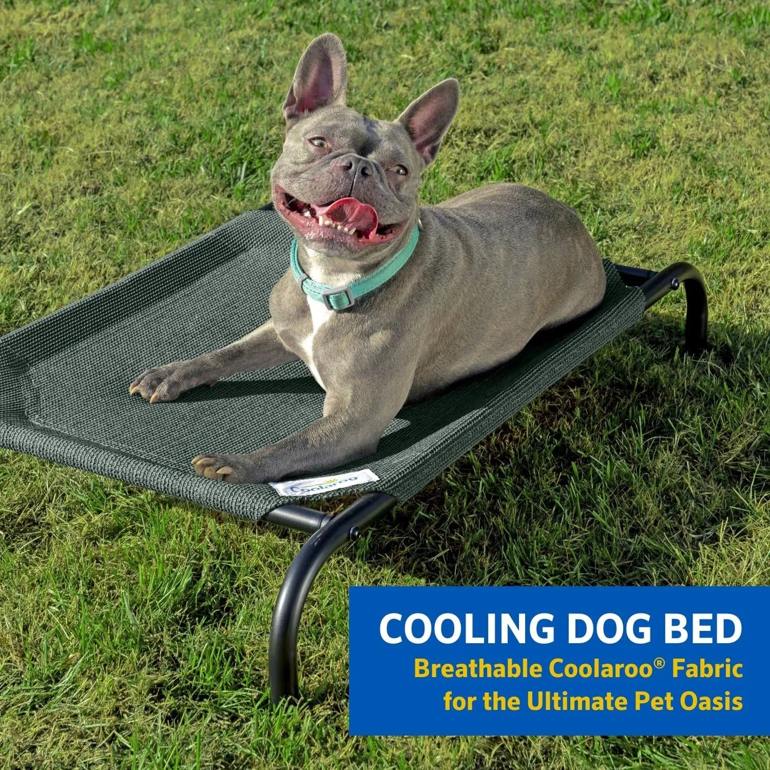 Coolaroo The Original Cooling Elevated Dog Bed, Indoor and Outdoor, Medium, Gunmetal