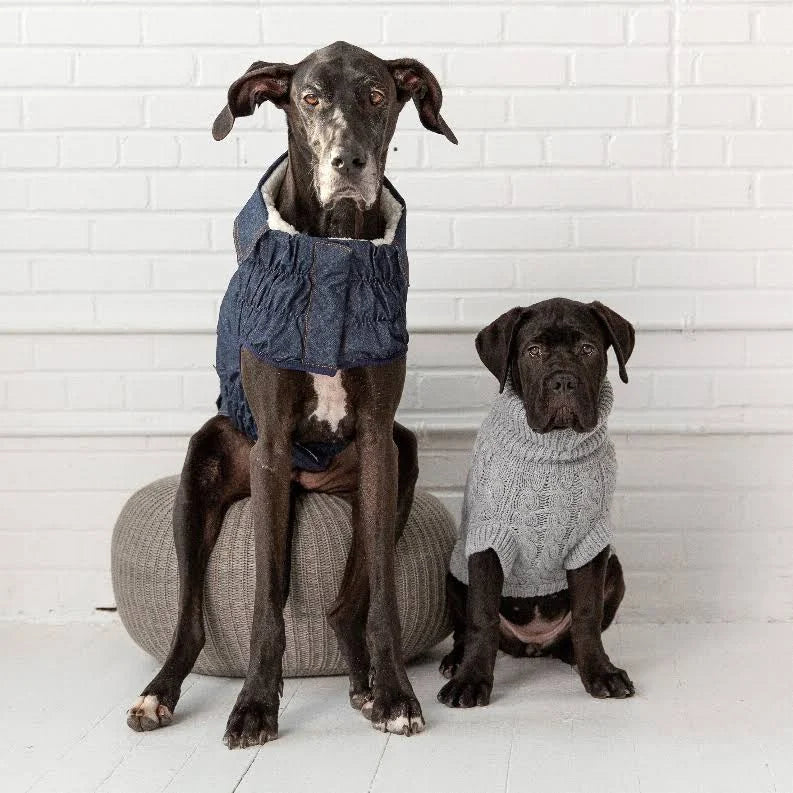 Gf Pet Elasto-Fit Denim Jacket For Dogs - Extra Small