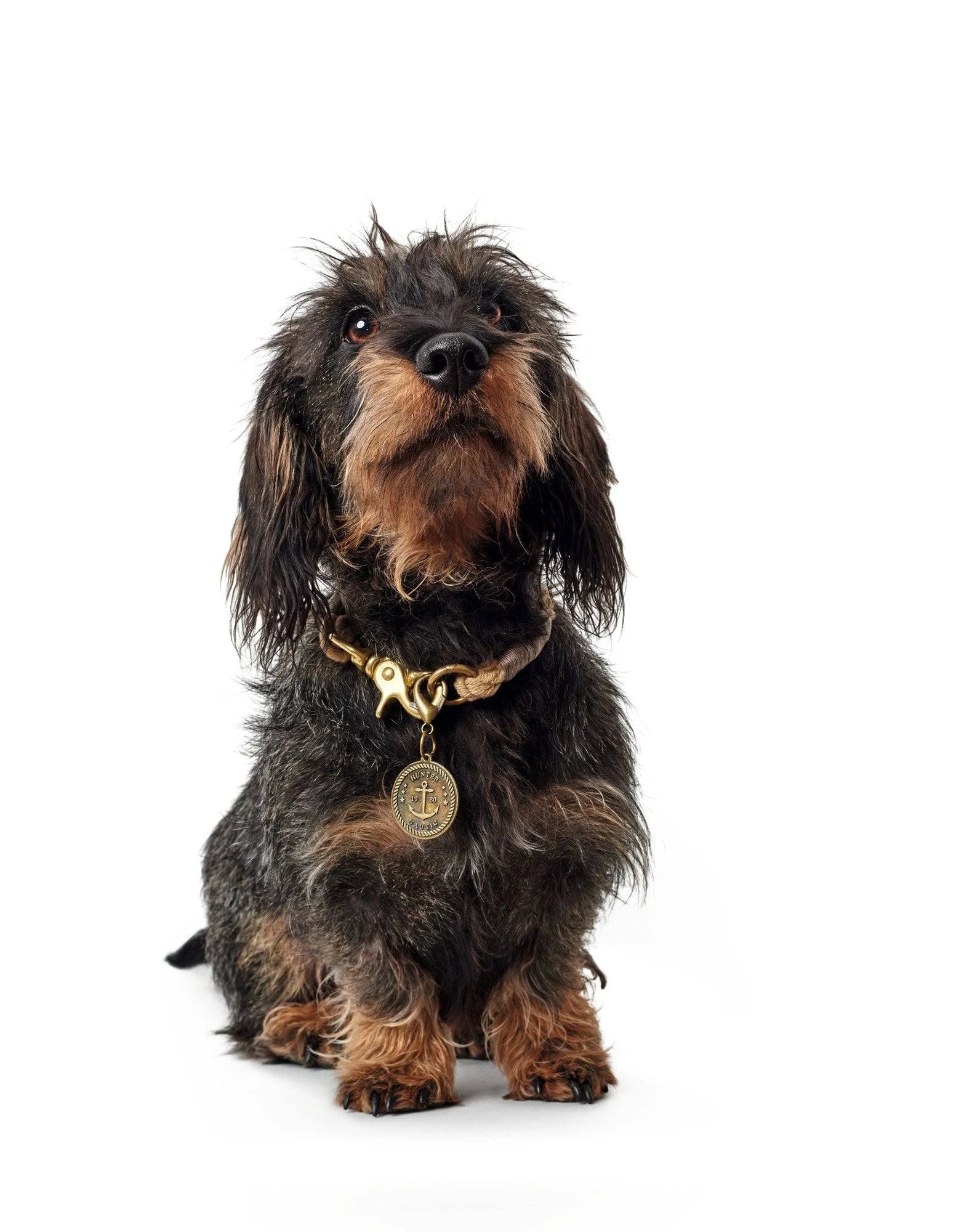 Hunter - List Rope Collar – Olive