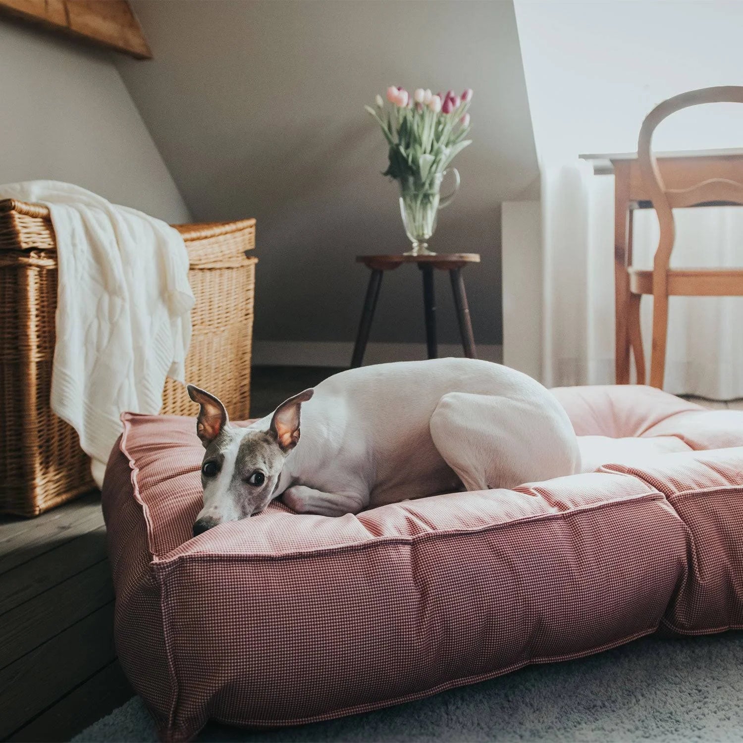 Hunter Lancaster Dog Bed