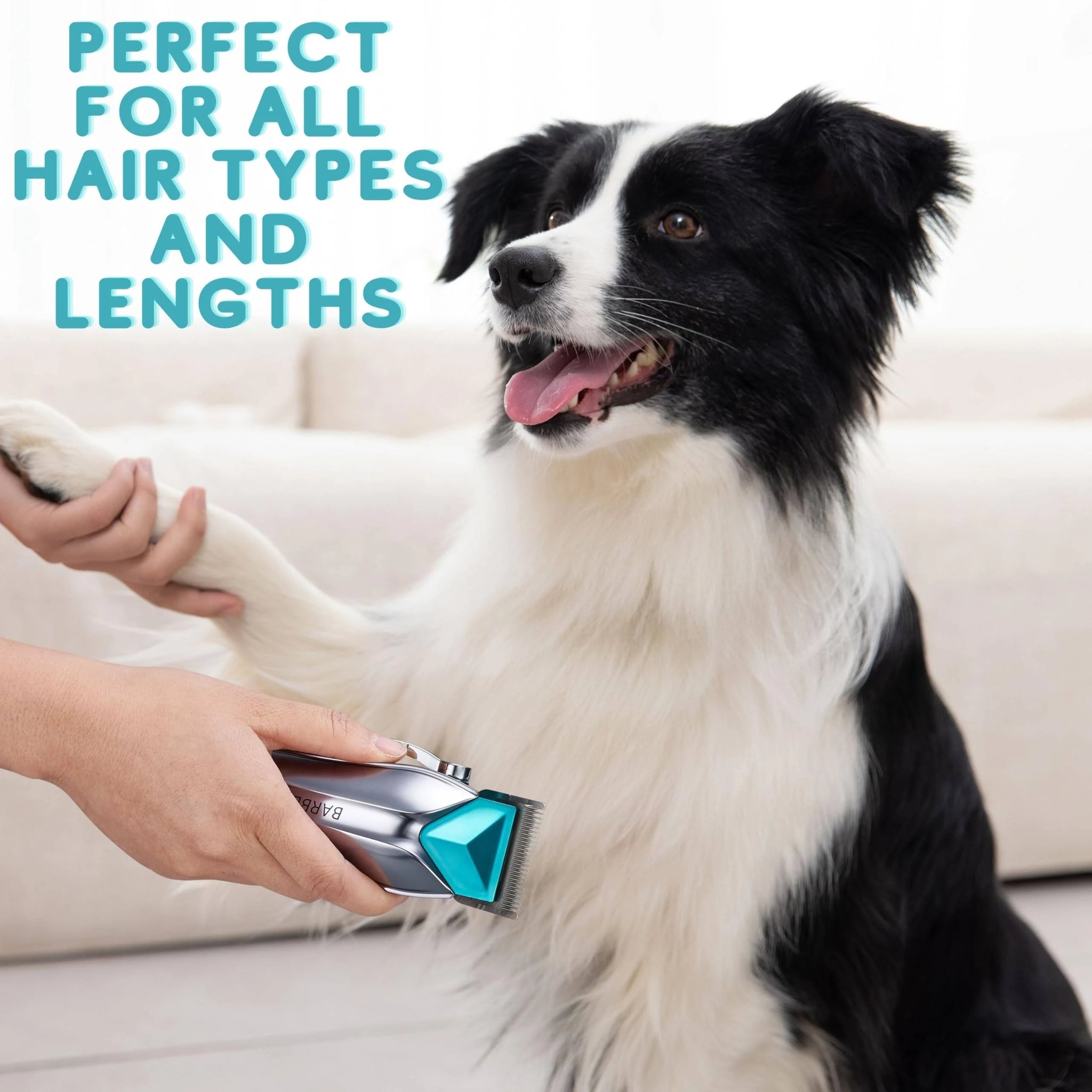 BarberBoss QR-9088 Professional Dog Grooming Kit For Matted Hair